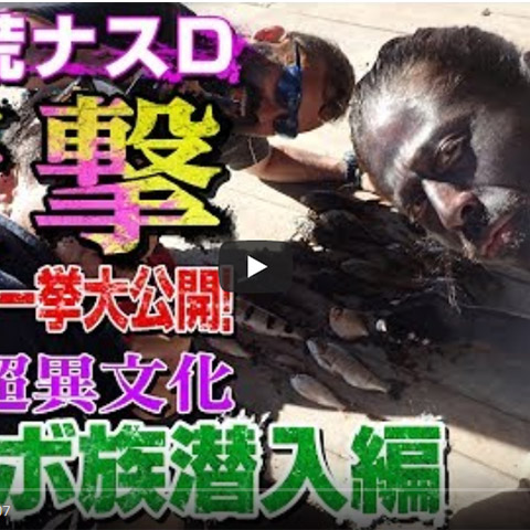 ナスDの大冒険の最新動画が非難轟々